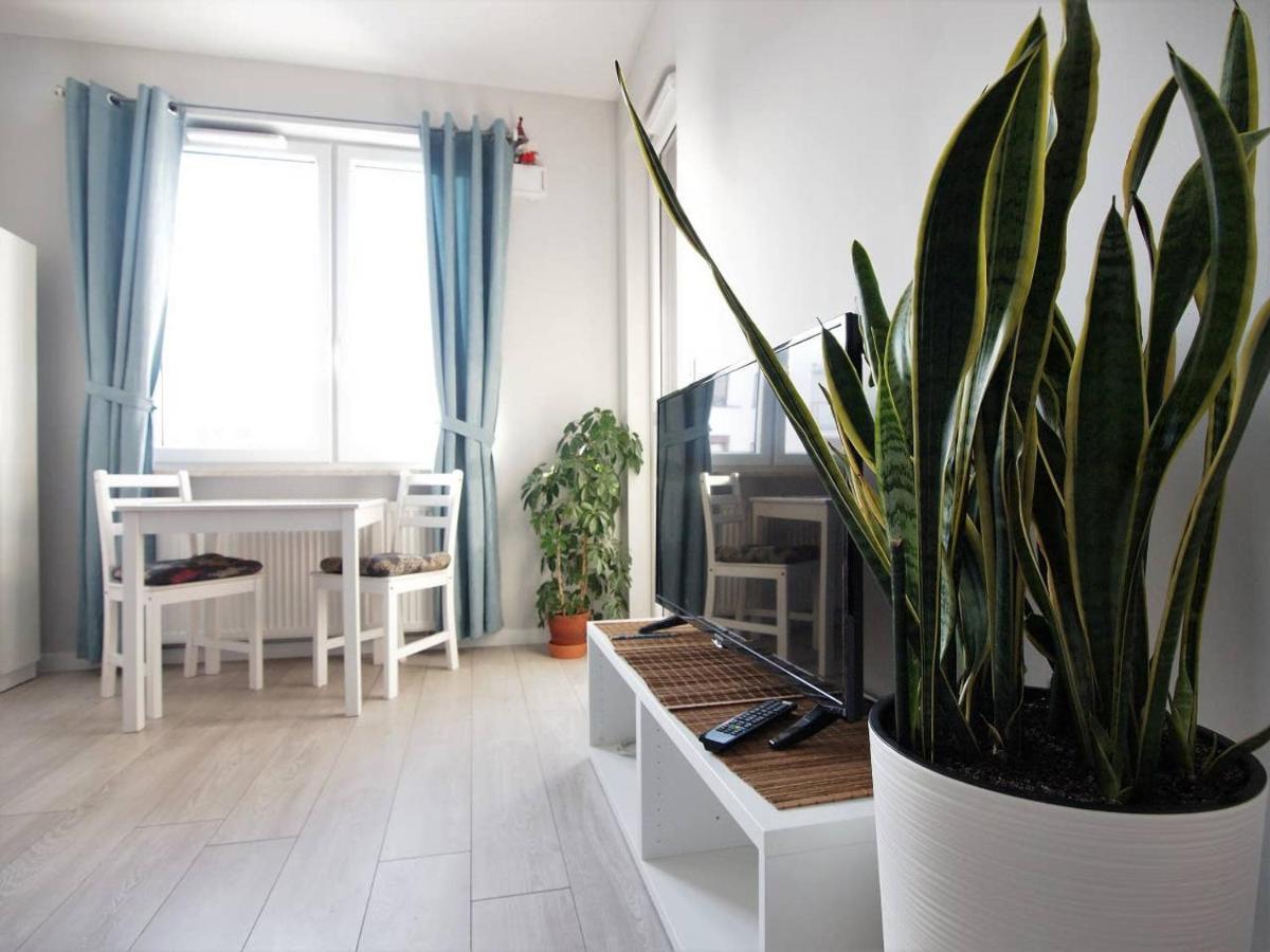 Airport Blue Apartment
